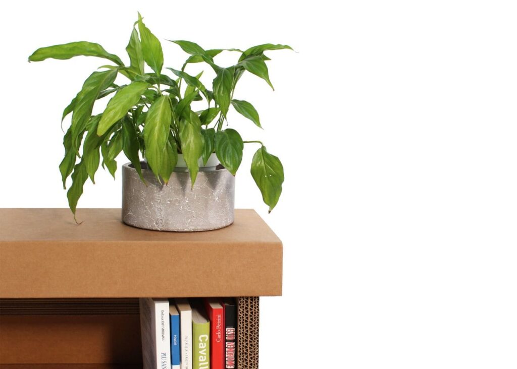 Banque d'accueil en carton écologique pour stands événementiels ou aménagement de magasins, avec plateau visible et support pour plantes vertes en pot métallisé, intégration naturelle dans des espaces professionnels durables - Le Meuble en Carton une marque du groupe Natur Design