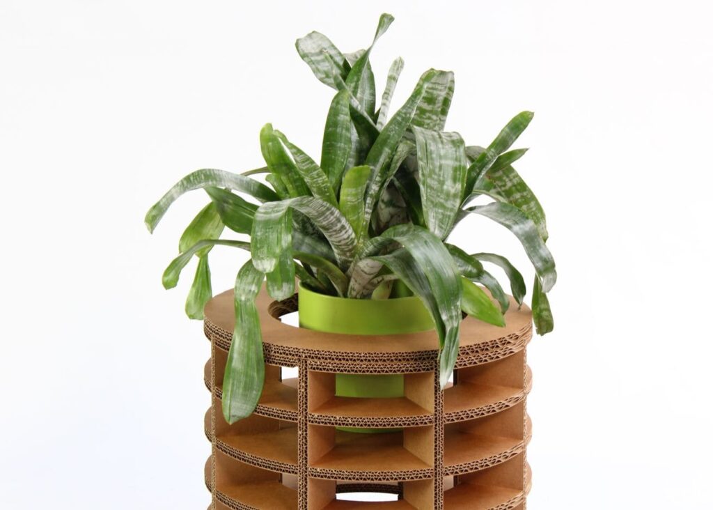 Jardinière en carton écologique JAYA avec plantes vertes, idéale pour les espaces professionnels comme les bureaux ou les salles de pause pour apporter du bien-être naturel et une touche d'ameublement durable - Le Meuble en Carton une marque du groupe Natur Design